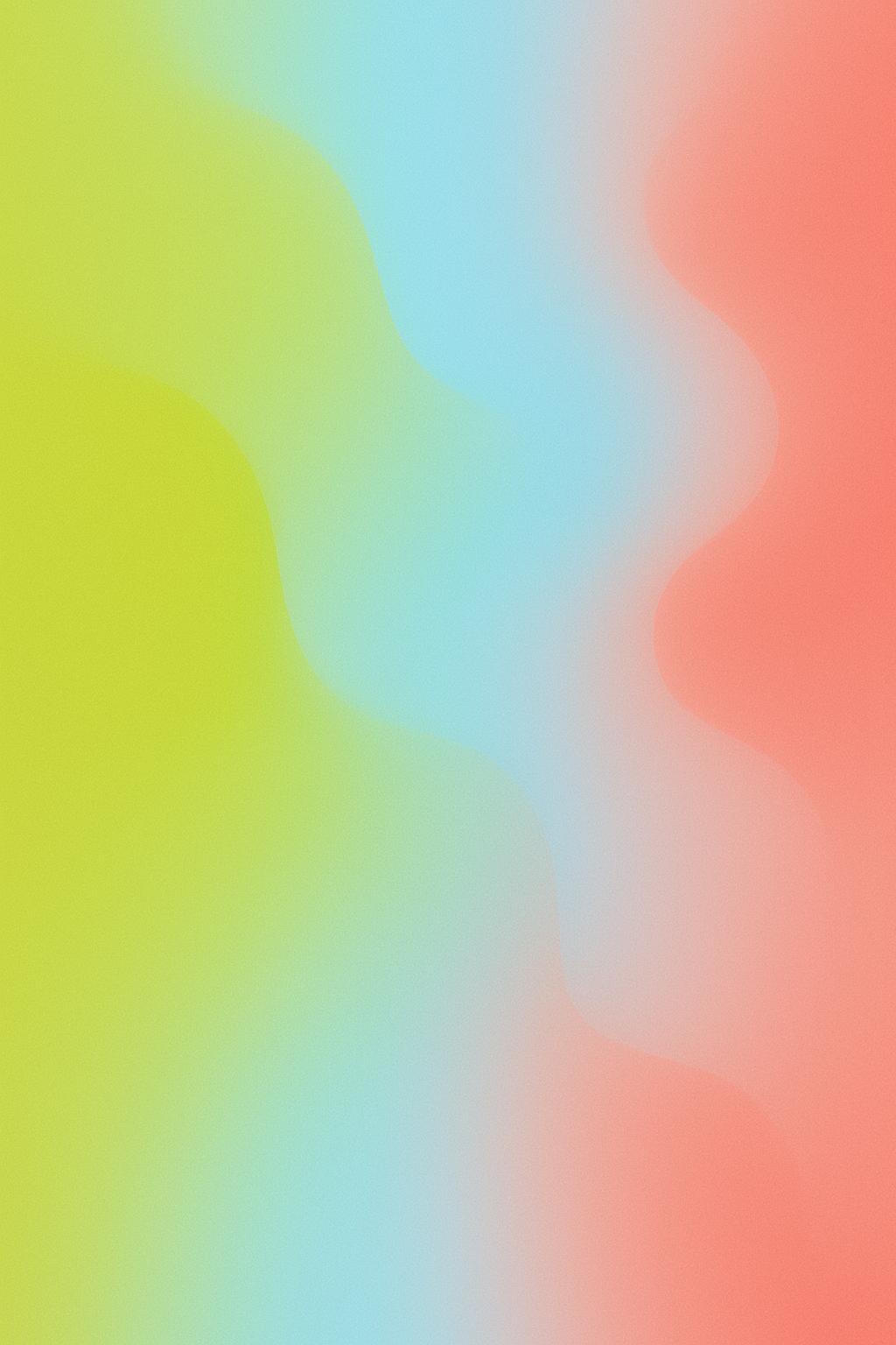 Web Design & Development